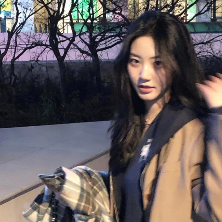 双生赤狐 封面
